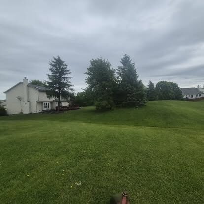 Freshly cut, striped front lawn